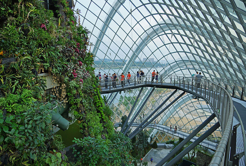 things to do in singapore