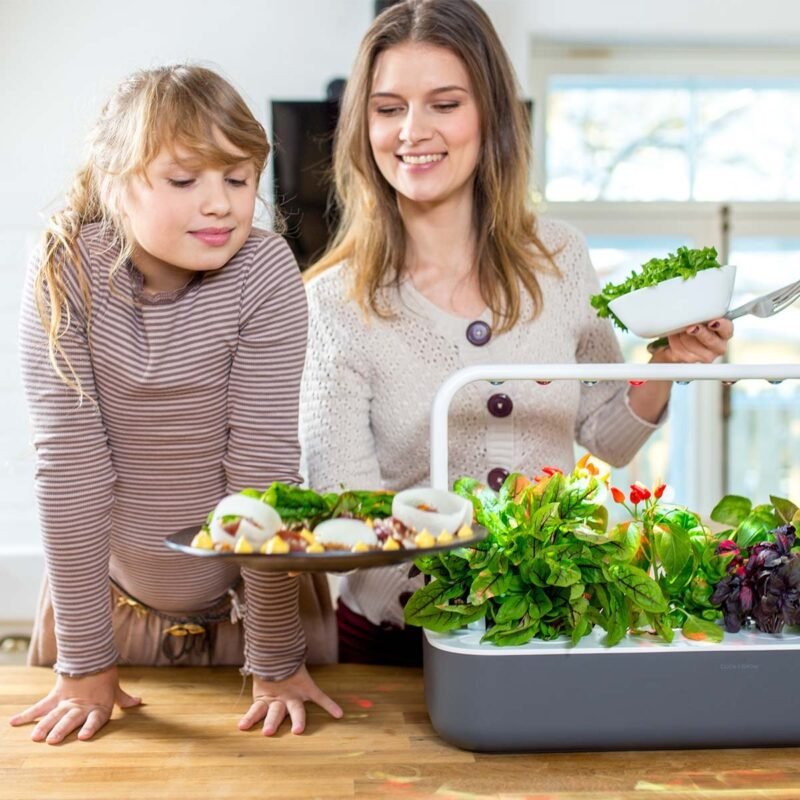 Most Popular Indoor Smart Gardens