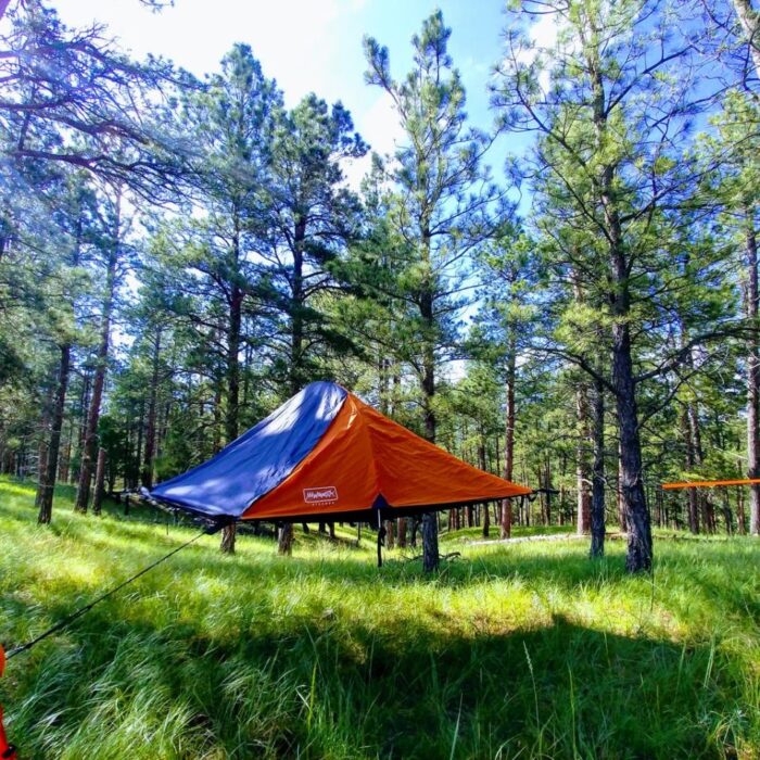 31 Cool and Easy Tree Tents Ideas