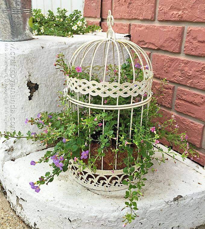 Birdcage Planter Ideas