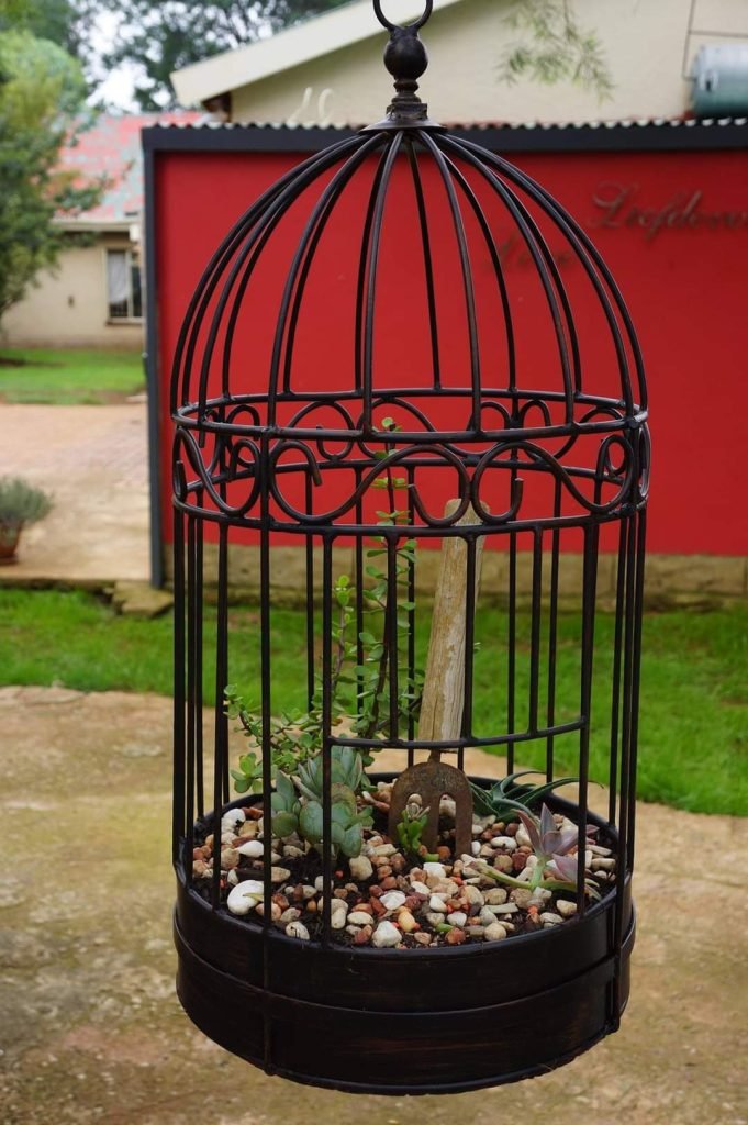 Birdcage Planter Ideas
