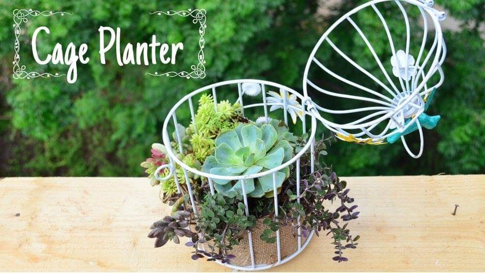 Birdcage Planter Ideas