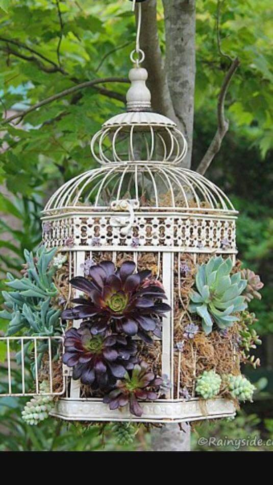 Birdcage Planter Ideas