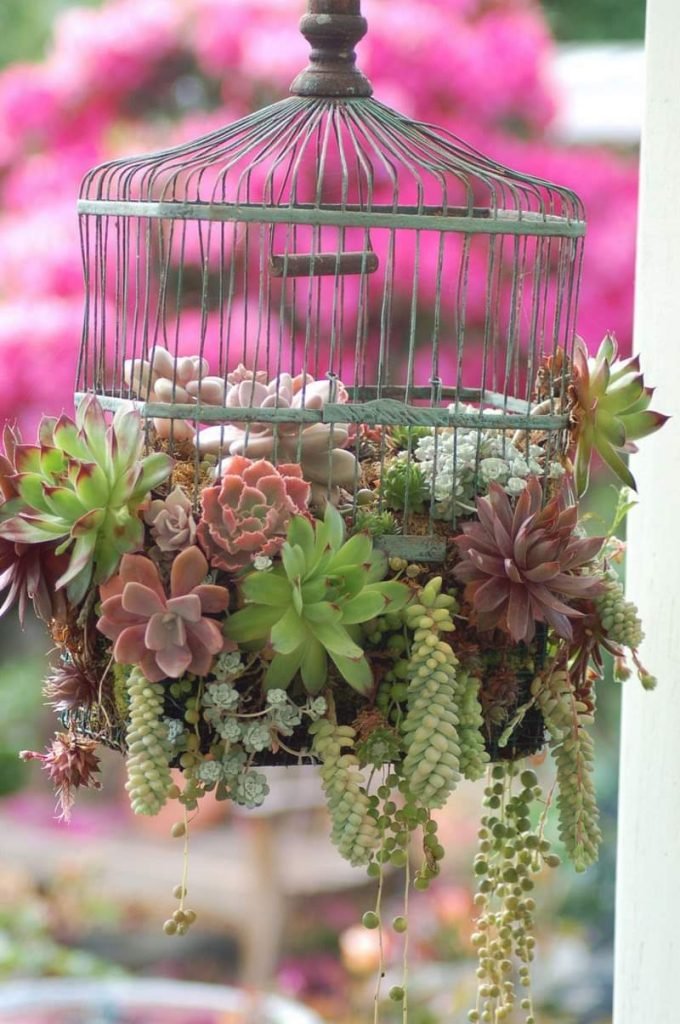 Hanging Birdcage Planters