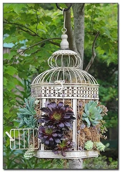 Hanging Birdcage Planters