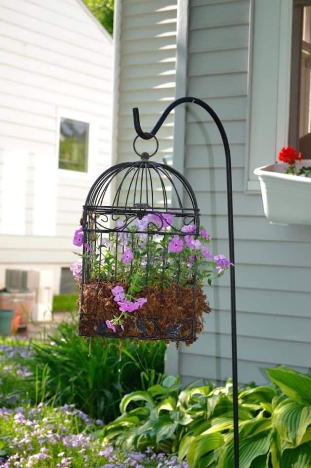 Hanging Birdcage Planters