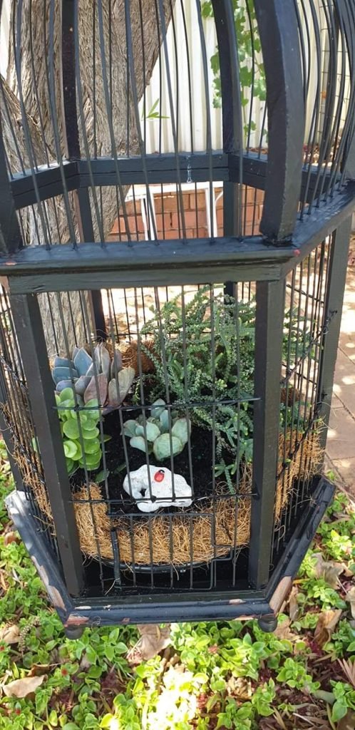 Hanging Birdcage Planters