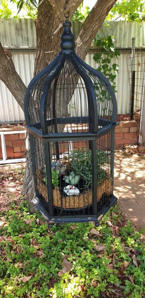 Hanging Birdcage Planters