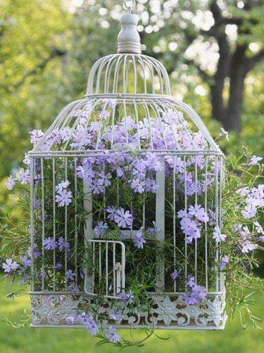 Hanging Birdcage Planters
