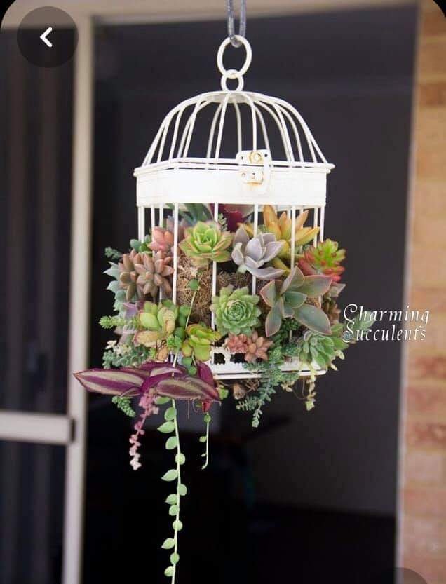 Hanging Birdcage Planters