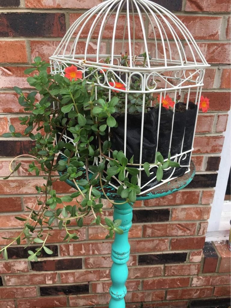 Birdcage With Plants