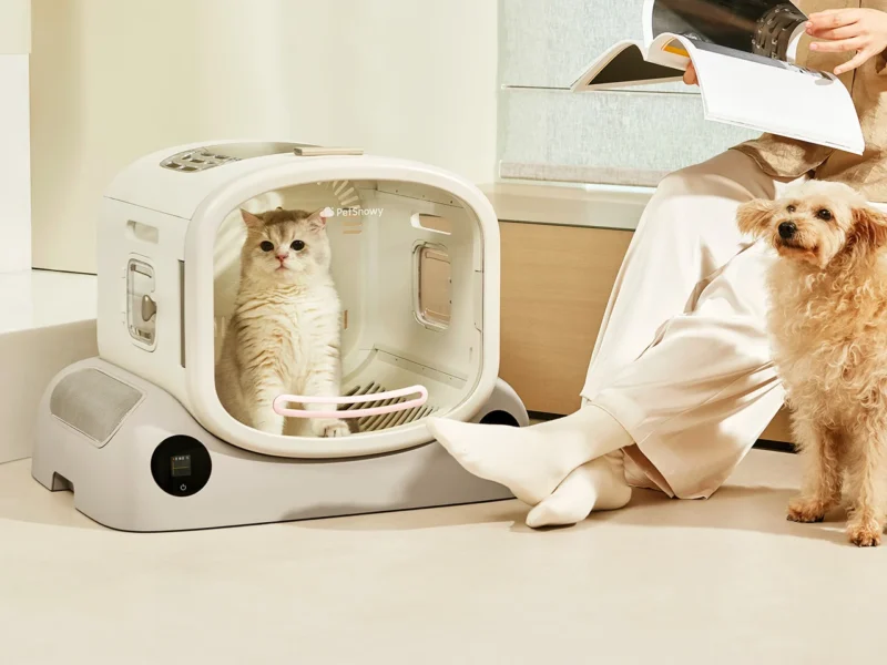Fluffier Pets, No Wet Mess: Discover the PetSnowy SMILE All-in-One Dryer Box