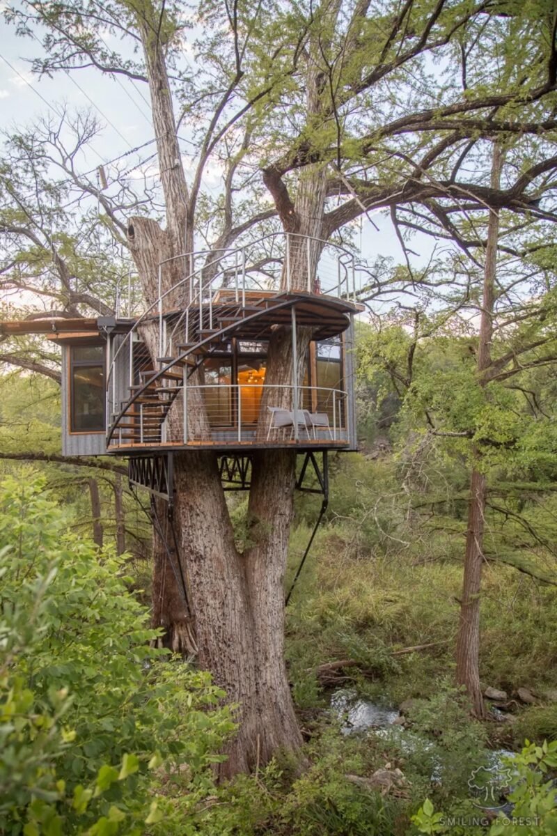 24 Evergreen Treehouses to embrace the Nature in Forest