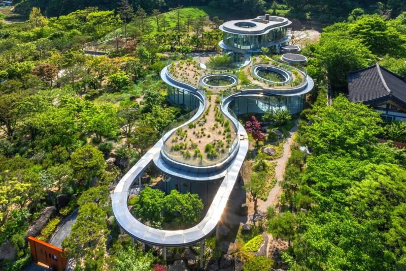 MIGIUI Café in South Korea: A Masterpiece of Sustainable Architecture and Nature-Inspired Design by Architect-K
